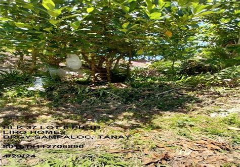 49 Foreclosed Properties found for liro homes .